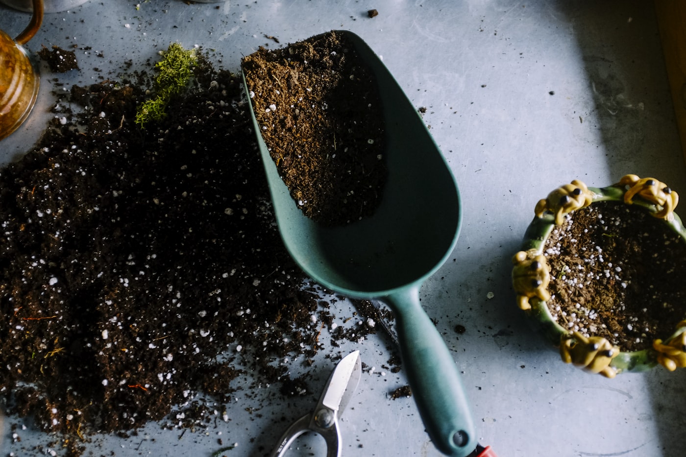 Grounds and garden maintenance